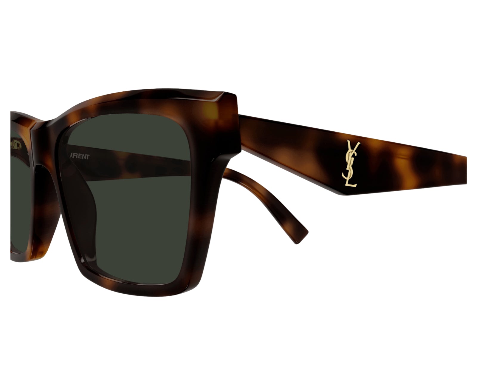 SAINT LAURENT Unisex SL M104 003 Sunglasses Havana Green Squared