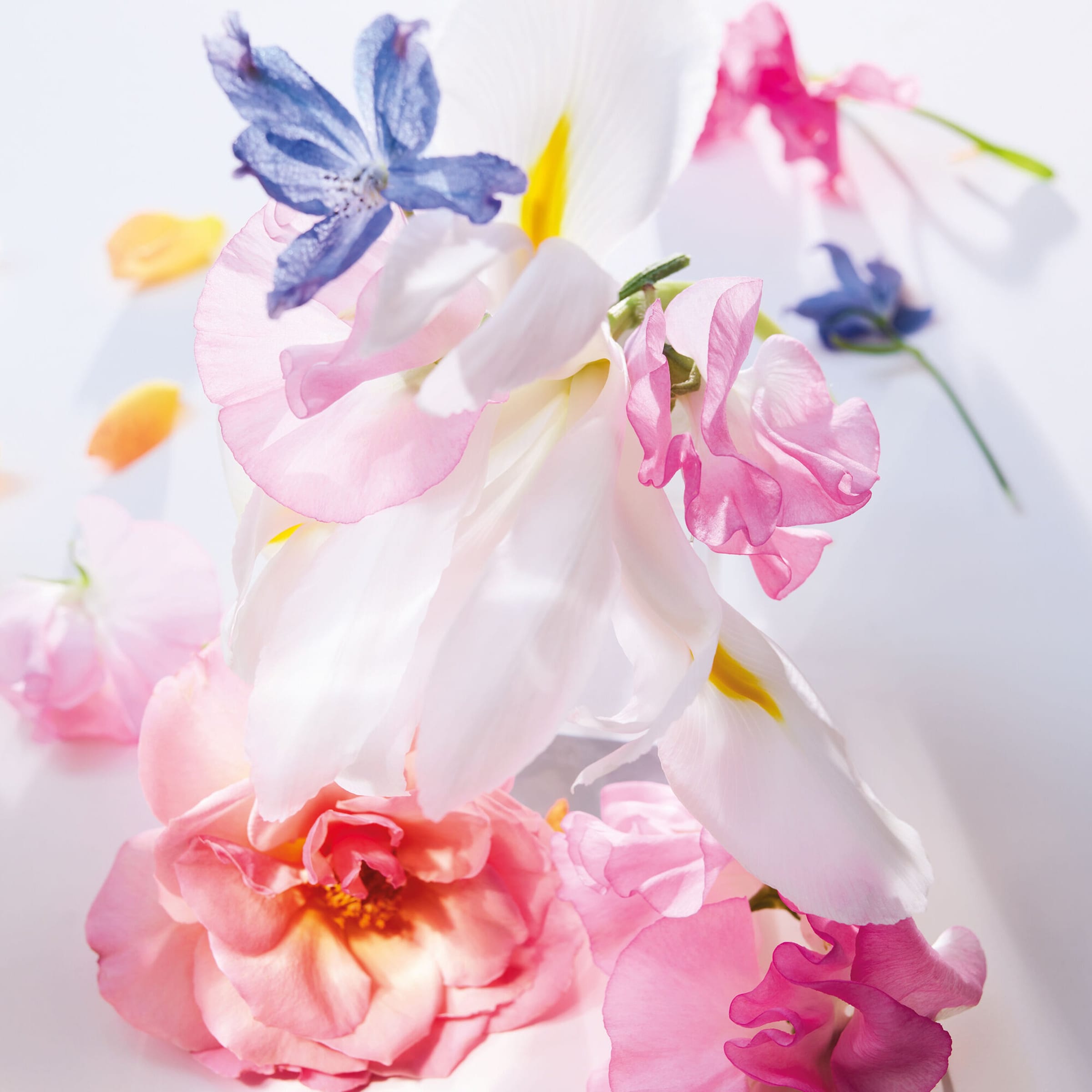 Miss Eau de Parfum - Roller-Pearl