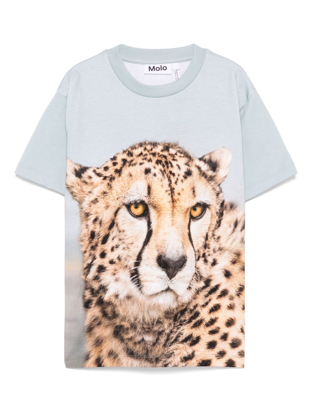 Rubin T-shirt - Blue