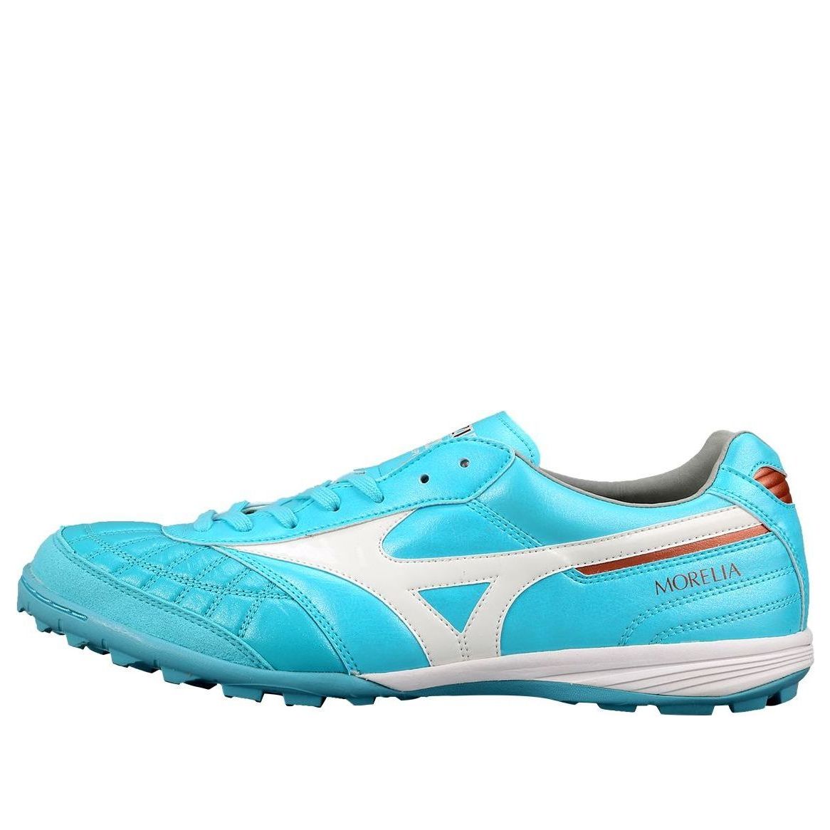Morelia Sala Japan TF 'Blue White'