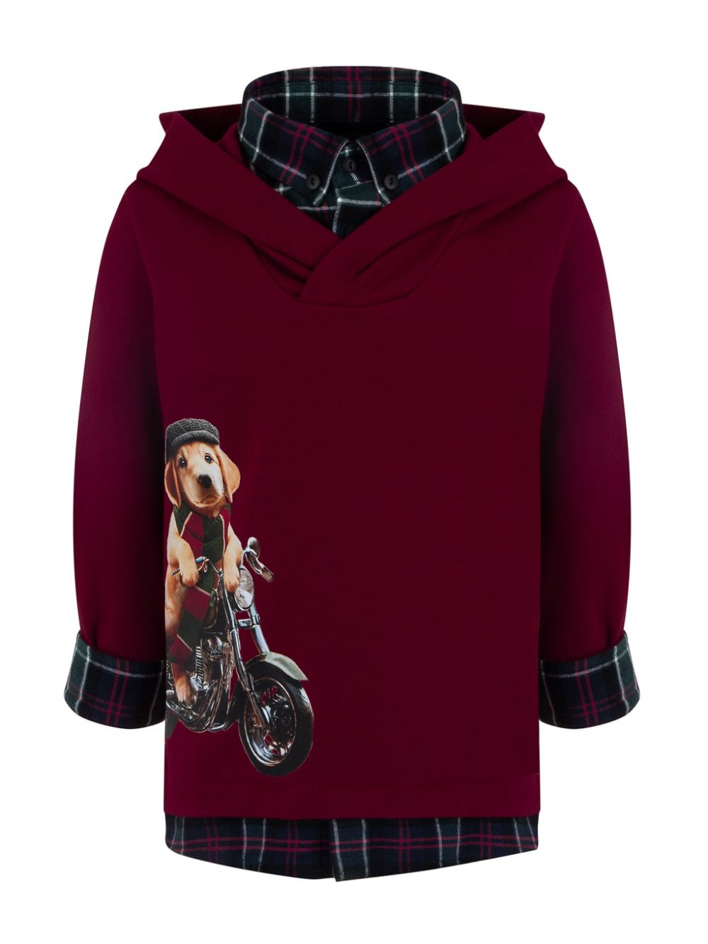 Layered-design dog-print hoodie