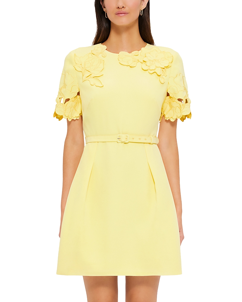 chinese dress ladies Aurelie Appliqué Short Sleeve Mini Dress main image 0