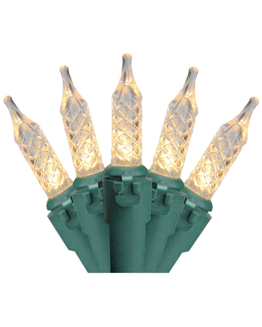 Northlight 200 Clear LED M5 Christmas Lights - 62ft Green Wire