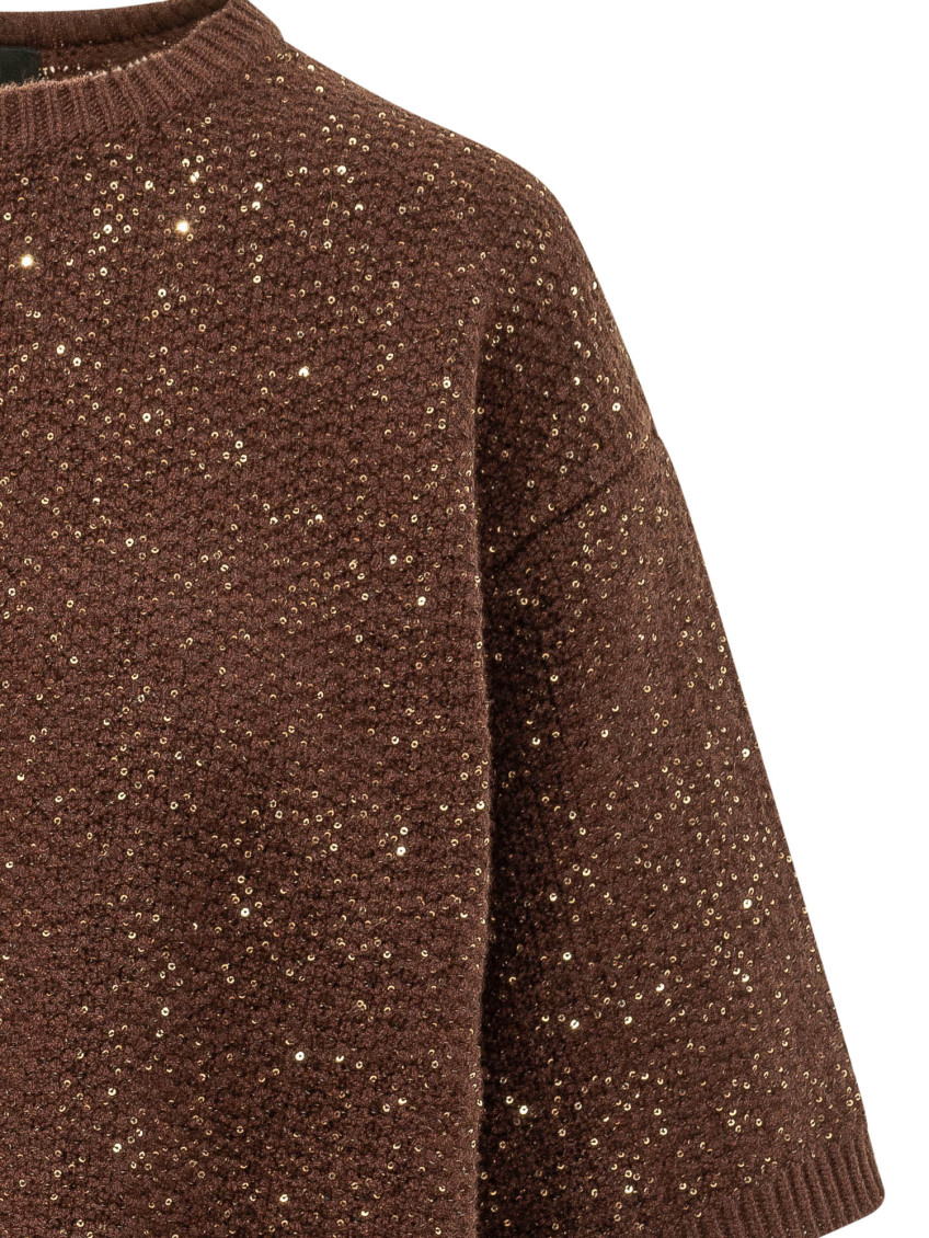 Brown Embellished Crew Neck Sweater