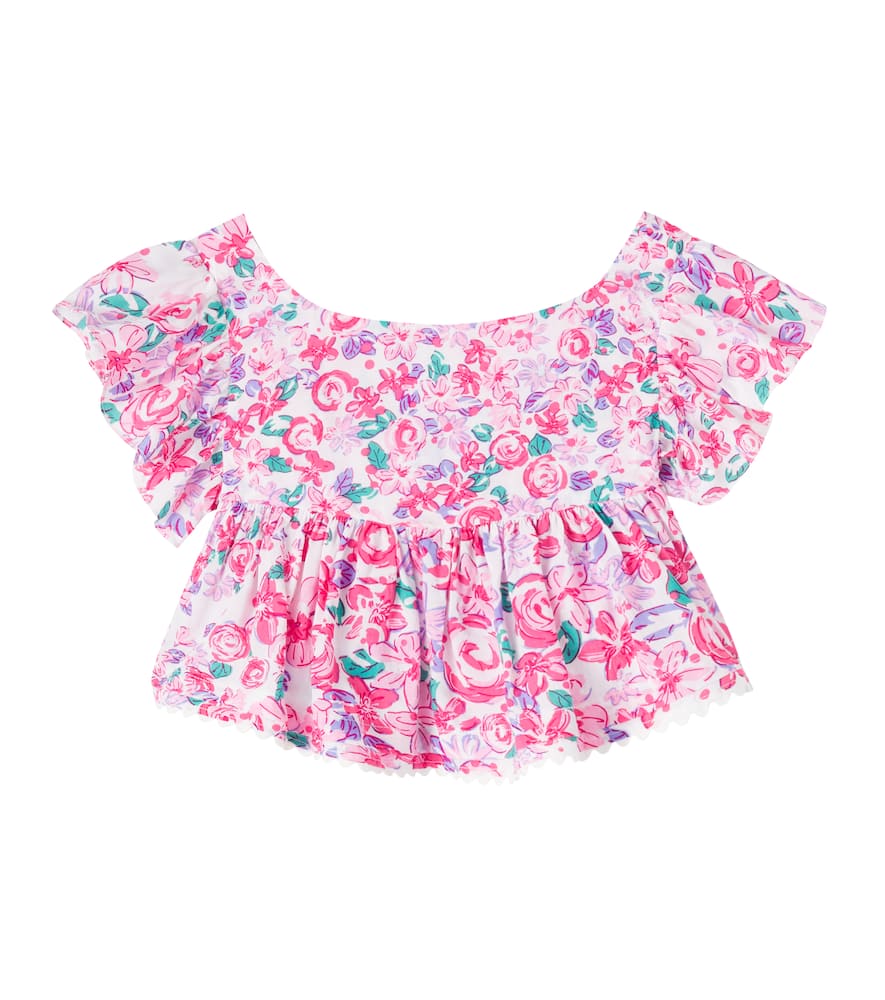 Cycas floral top