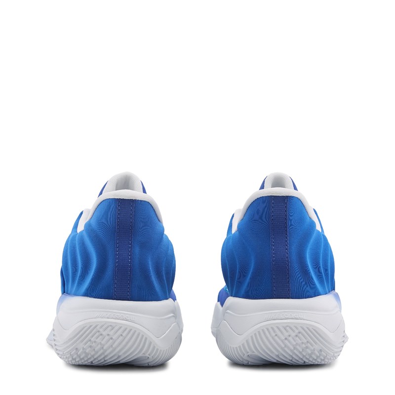 Giannis Immortality 4 Basketball Shoes (Blue/Carolina Blue)