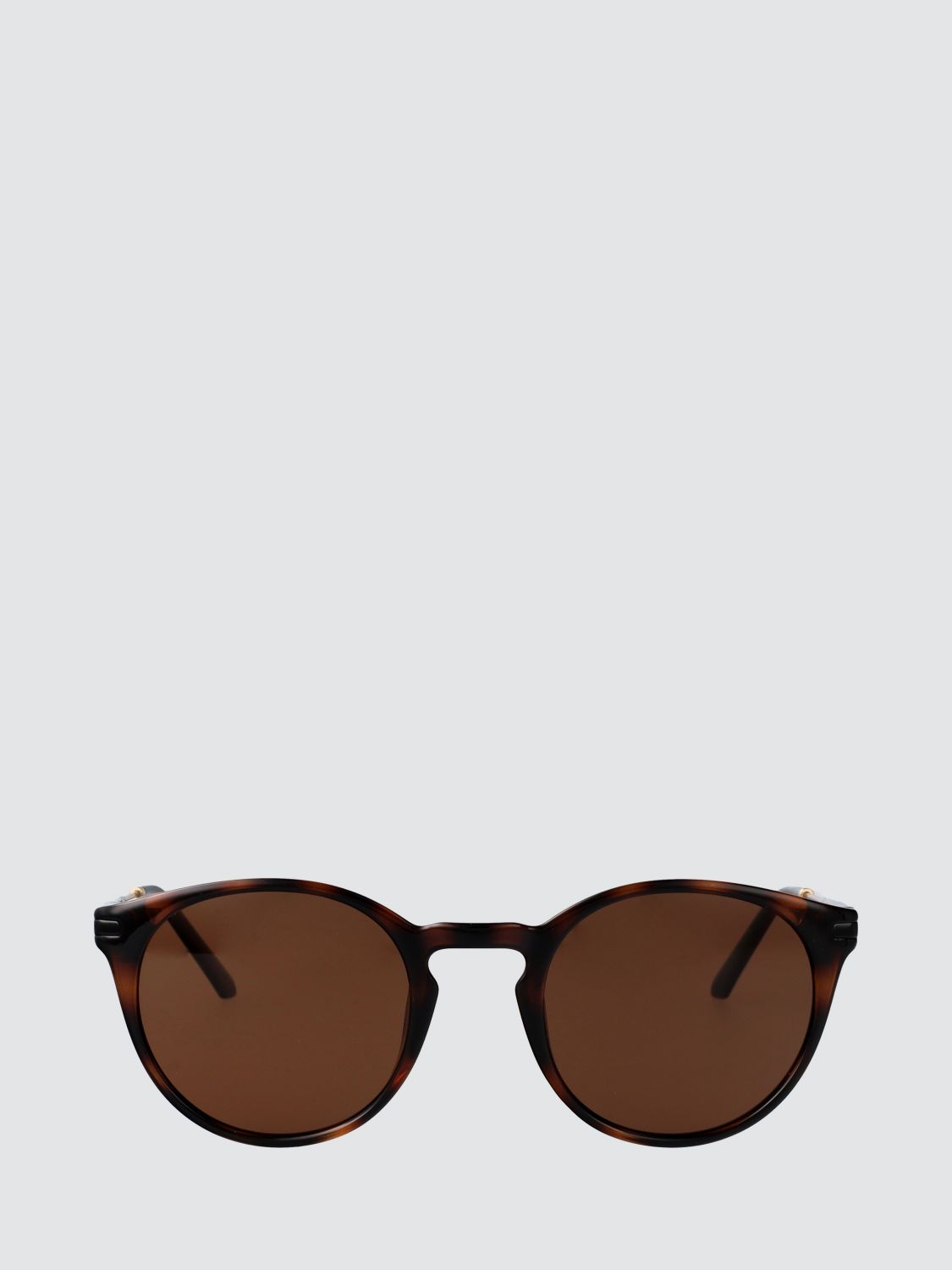 Sunglasses Men color Brown
