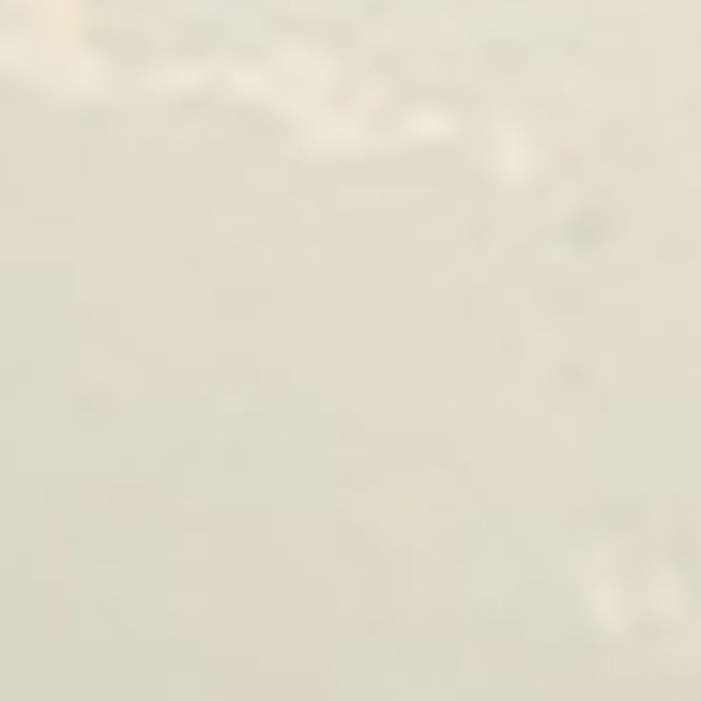 Leather Buckle Ballerina Flats