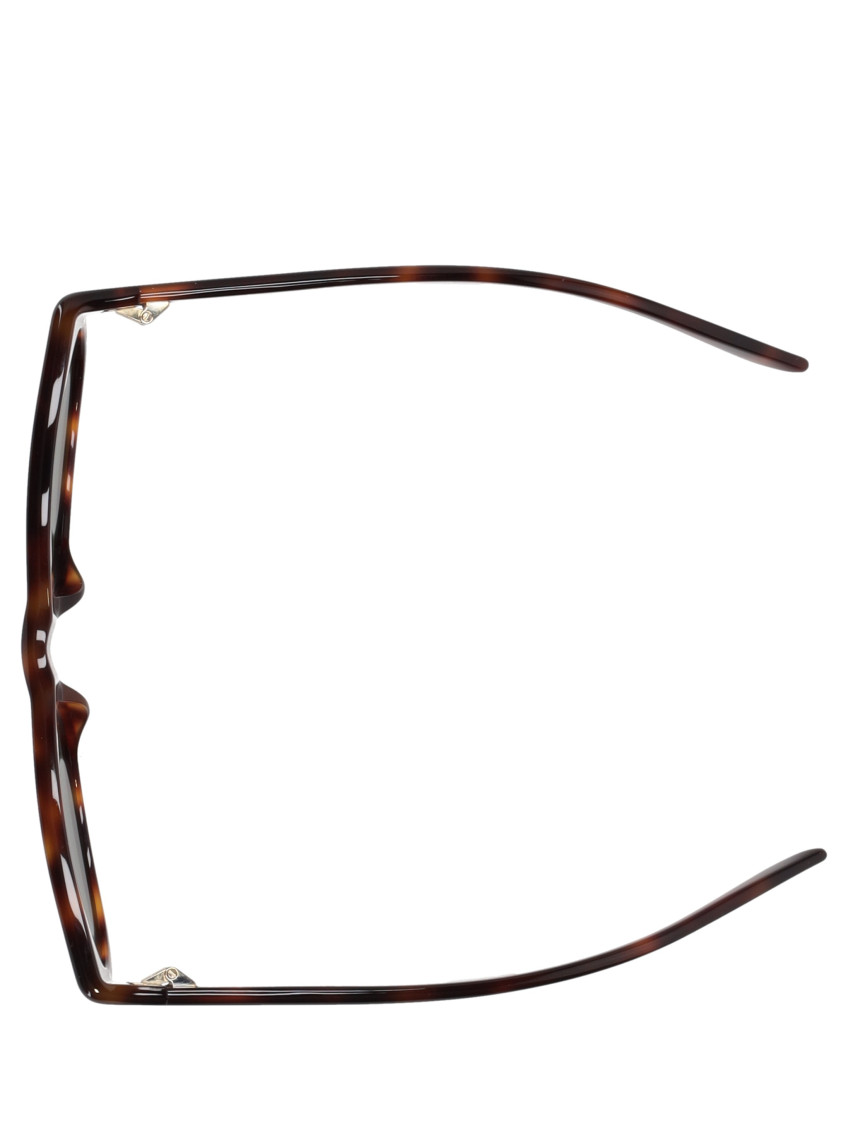 Brown Havana Sunglasses