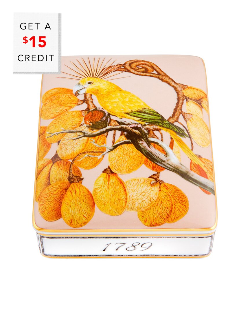 Amazonia Light Card Box with $15 Credit