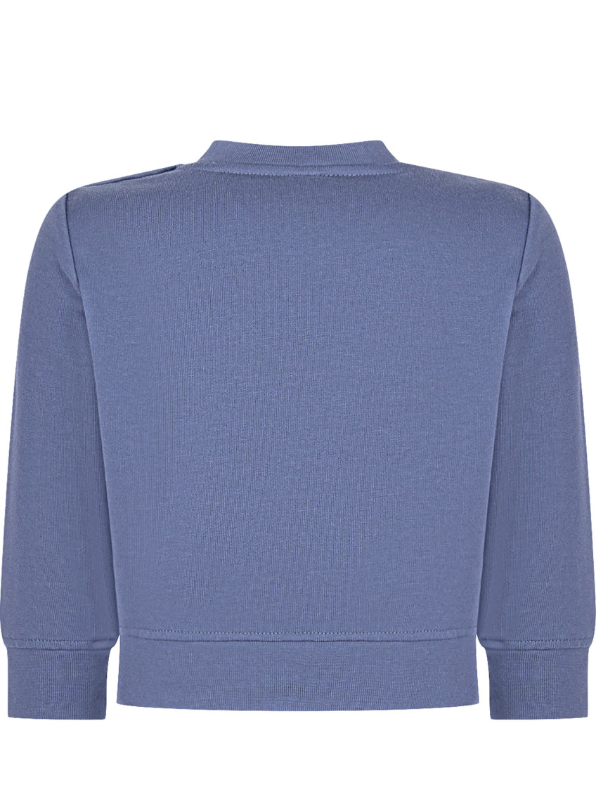 Babies Blue Graphic Sweatshirt