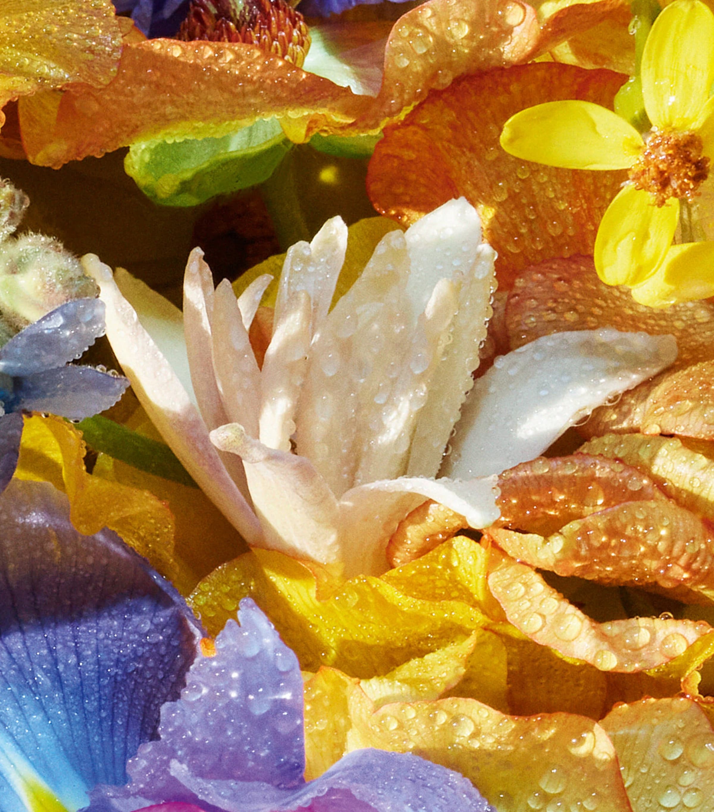 Aqua Allegoria Florabloom Hand Cream