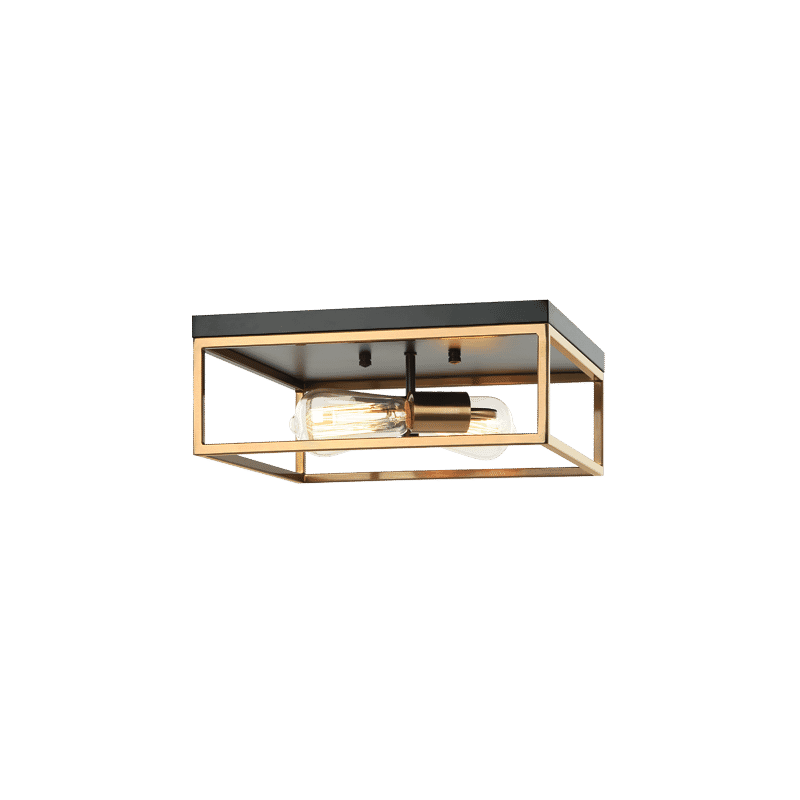Black & Aged Gold Brass Two Light Ceiling Mount from the Clarke Collection