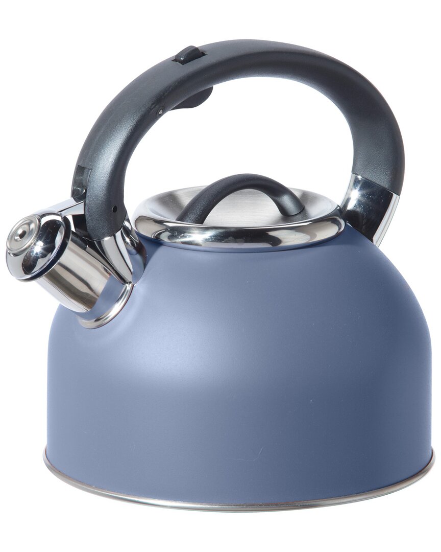 Stainless Steel 1.9L Whistling Tea Kettle