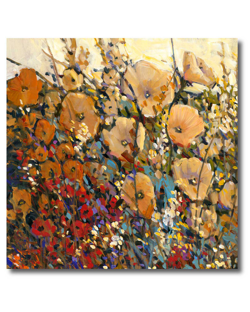 Wall Decor Bright & Bold Field Canvas