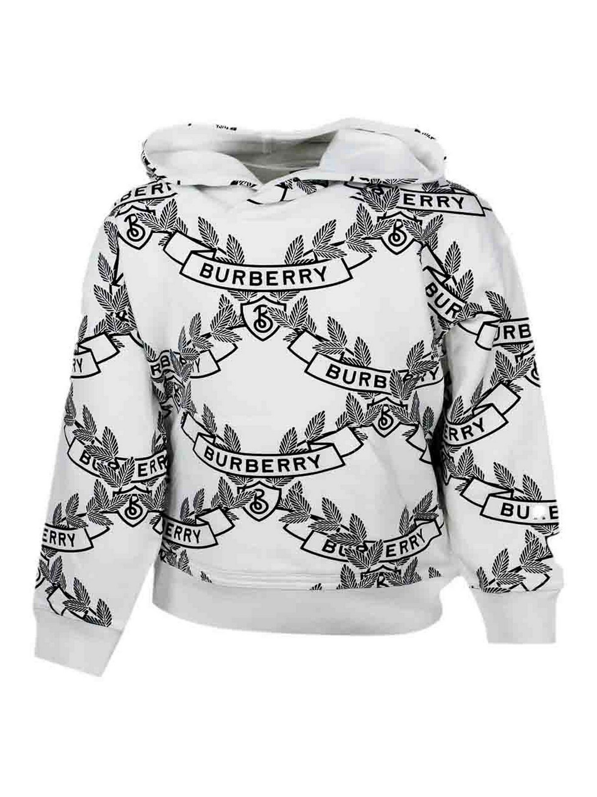Sweaters white