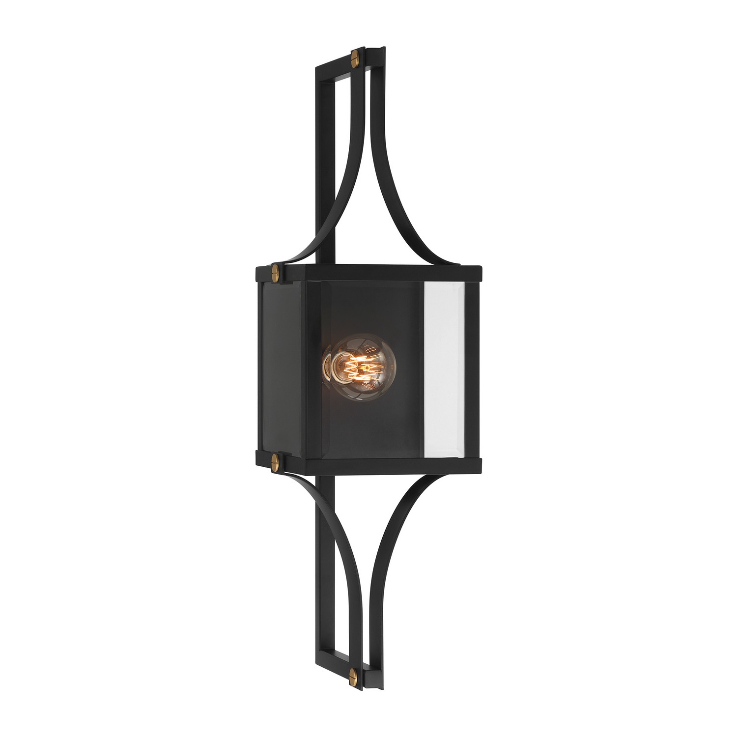 Raeburn 1-Light Outdoor Wall Lantern in Matte Black and Weathered Brushed Bra