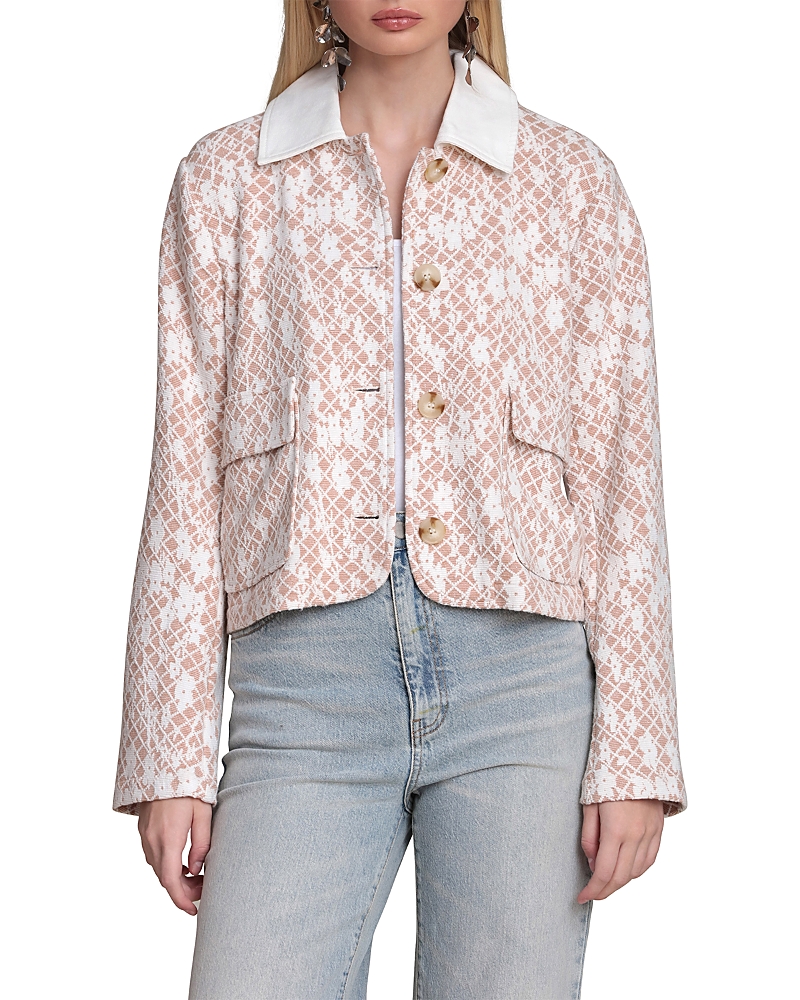 Mixed Collar Cropped Jacket
