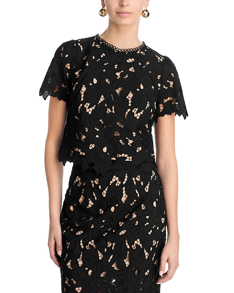 Large Lace Top - Exclusive