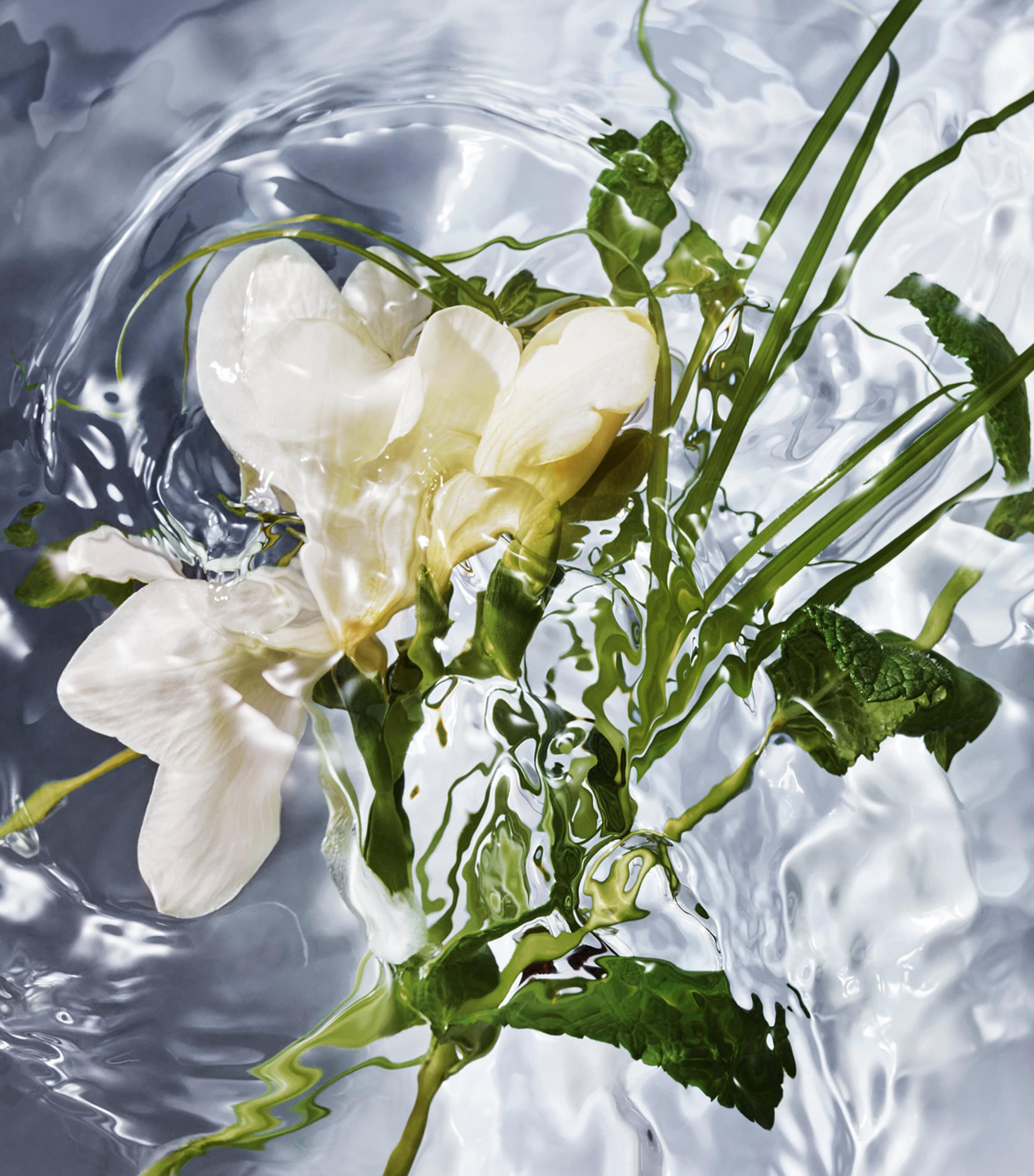 Aqua Allegoria Herba Fresca Eau de Toilette