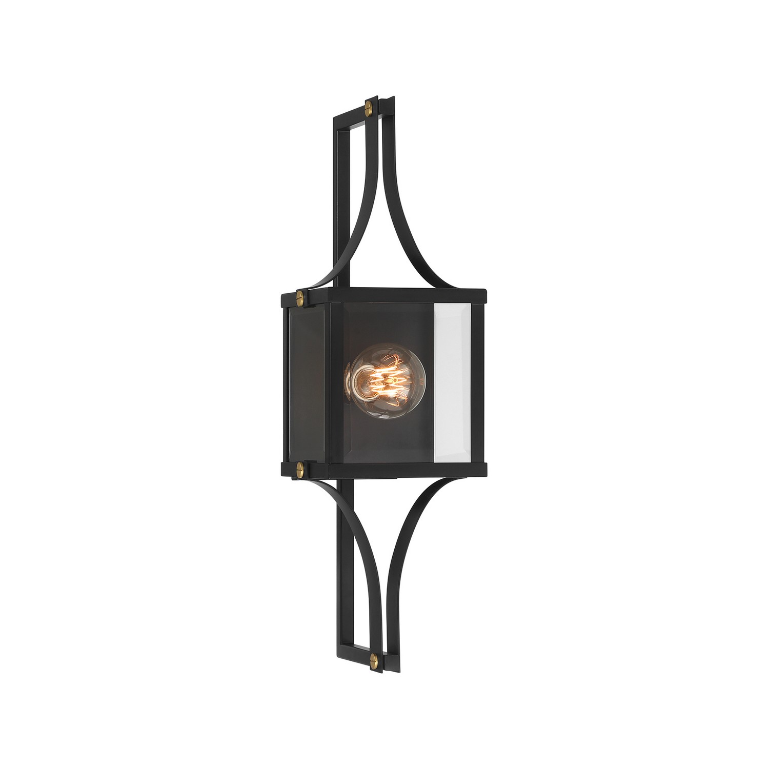 Raeburn 1-Light Outdoor Wall Lantern in Matte Black and Weathered Brushed Bra