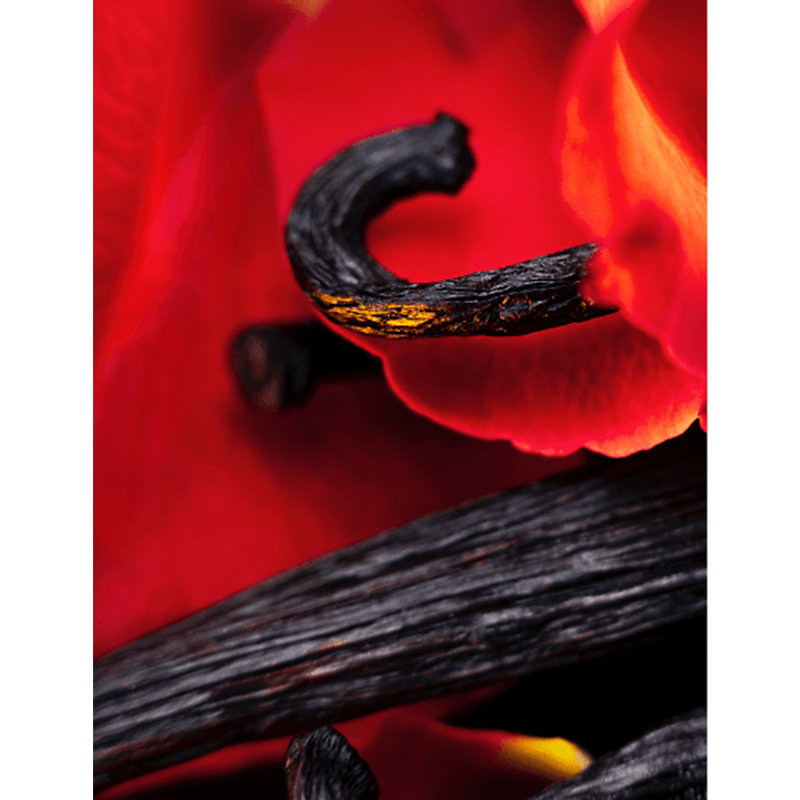 Hibiscus Mahajád Extrait de Parfum 100ml
