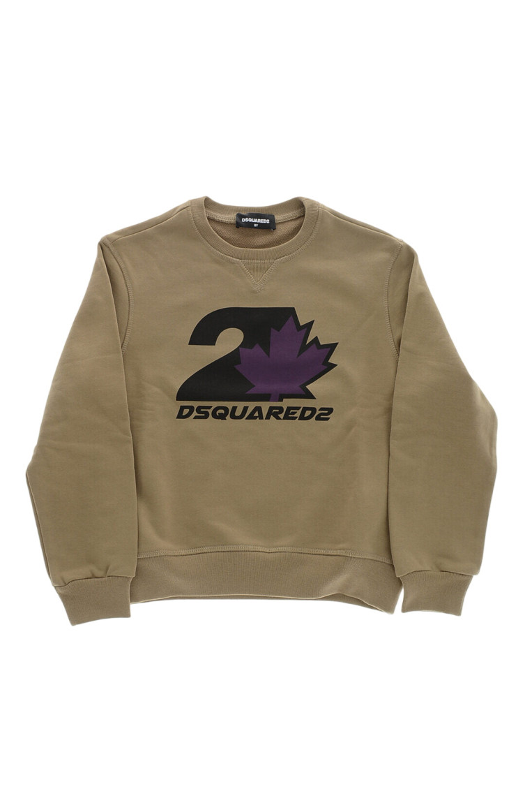 Boys Green Graphic Sweatshirt