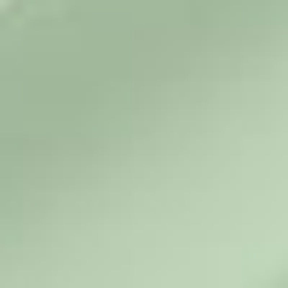 Steel Armonia Rollerball Pen