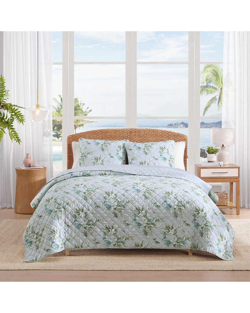 Floral Enchantment Texture Cotton Percale Quilt Set