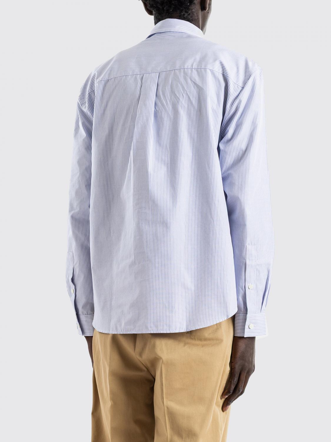 Striped Cotton Shirt with Classic Collar and Curved Hem