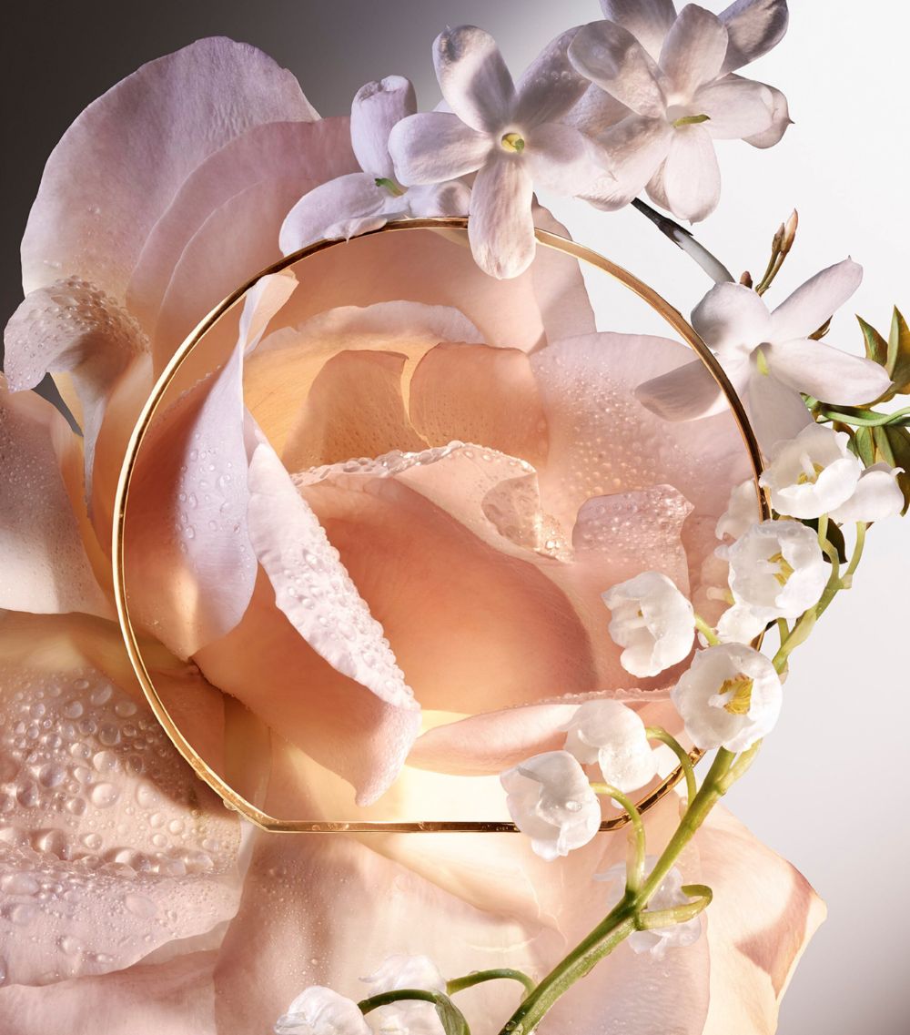 Absolue 6Am Rose Eau De Parfum (100Ml)