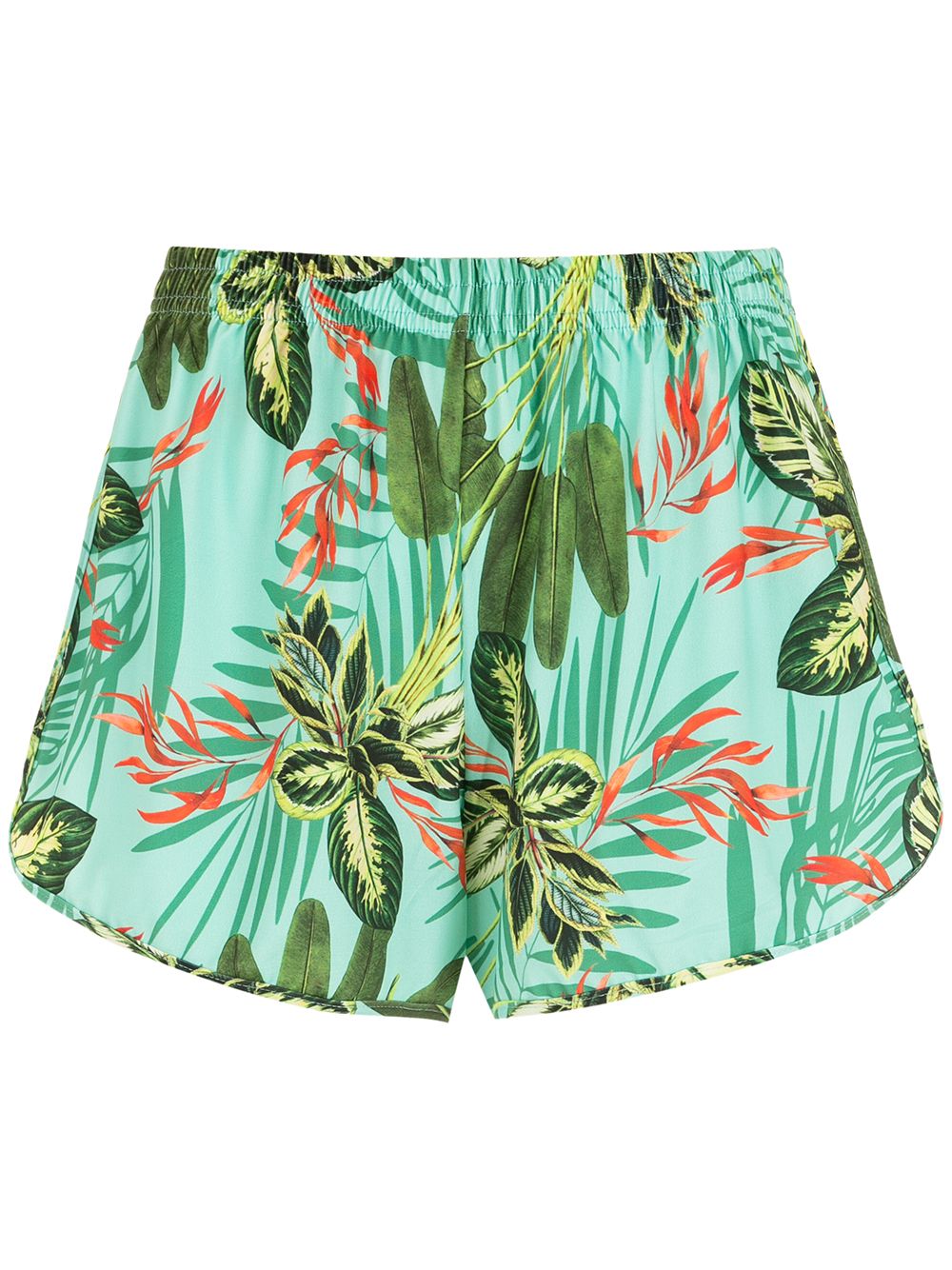 Lee tropical print shorts - Green