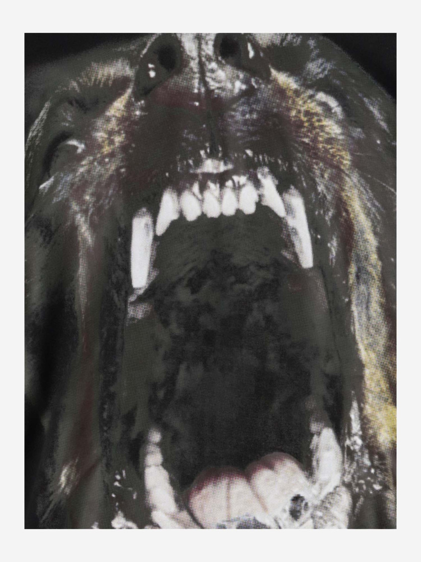 Rottweiler Hooded Sweatshirt