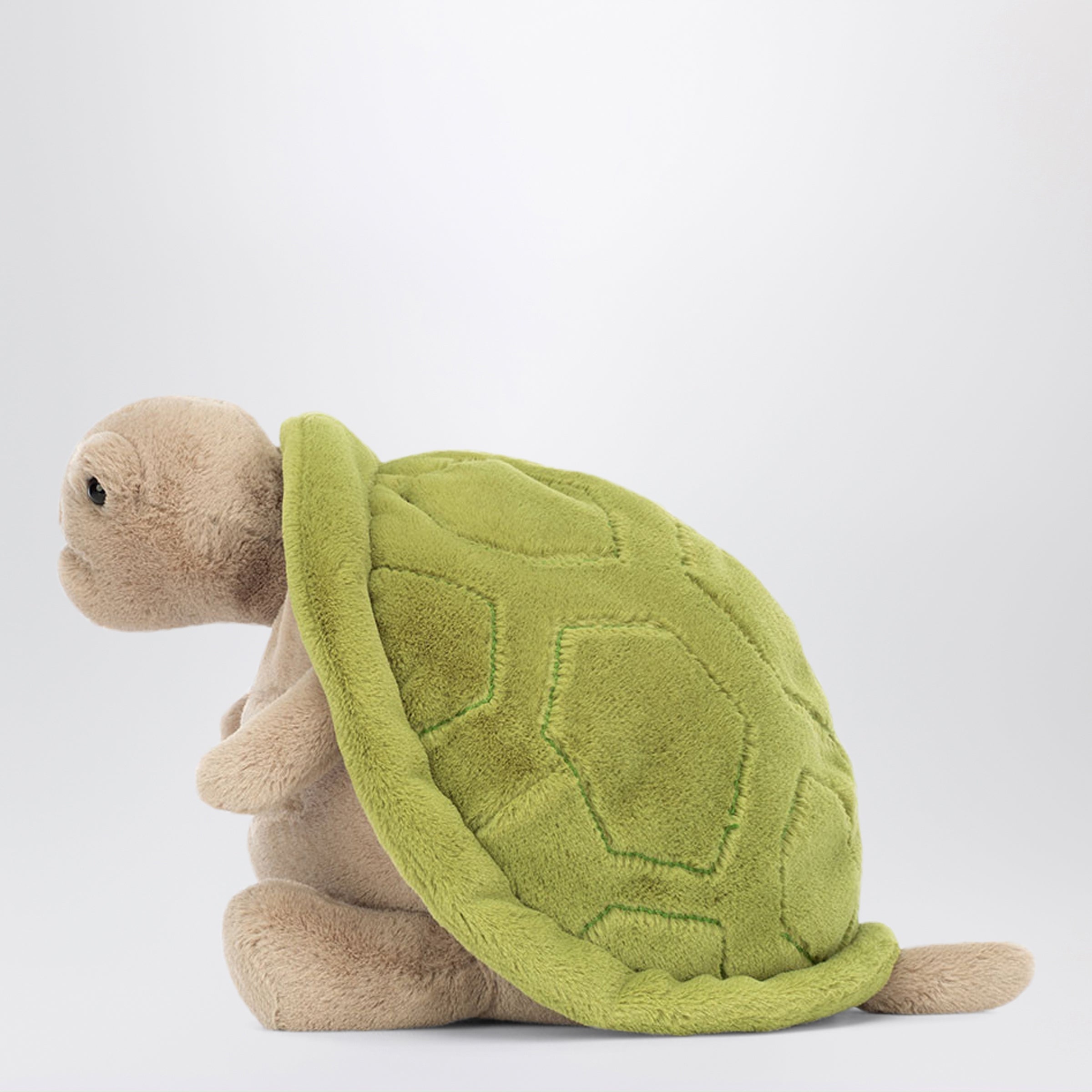 Green Timmy Turtle plush toy