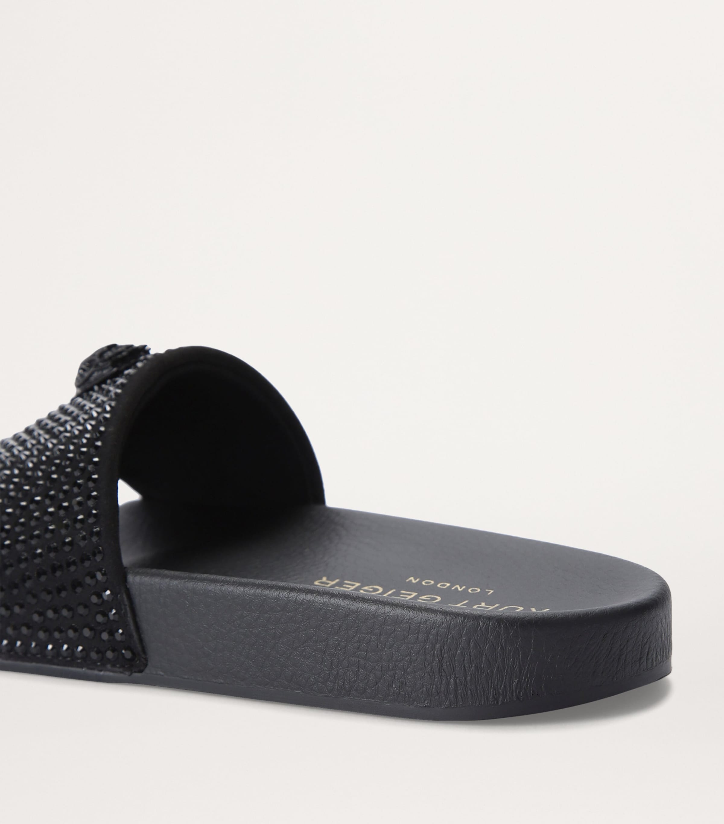 Meena Eagle Slides