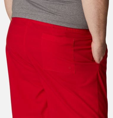 Men's Summertide  Stretch Shorts - Big-