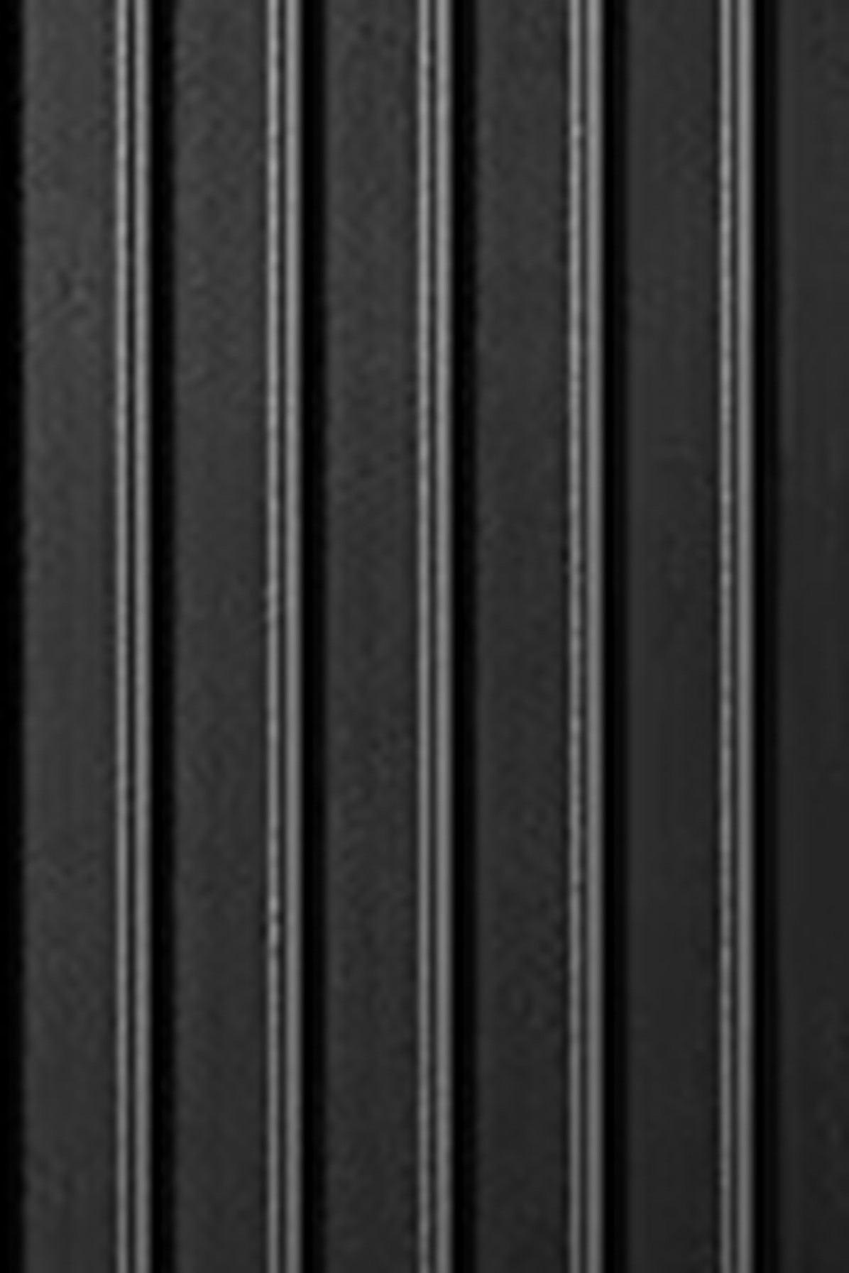 Essential Check-In L suitcase