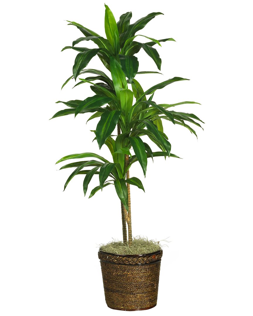 48In Dracaena With Basket Silk Plant (Real Touch)