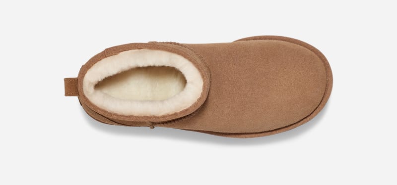 ® Women's Classic Ultra Mini Platform Suede Classic Boots in Chestnut