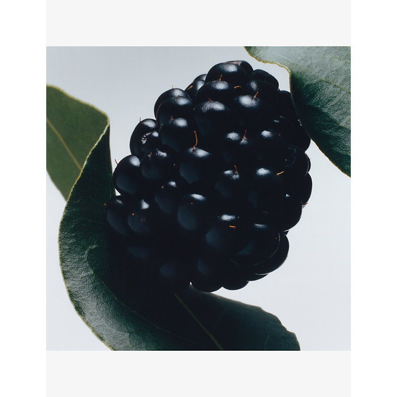 Blackberry & Bay Car Diffuser Refill