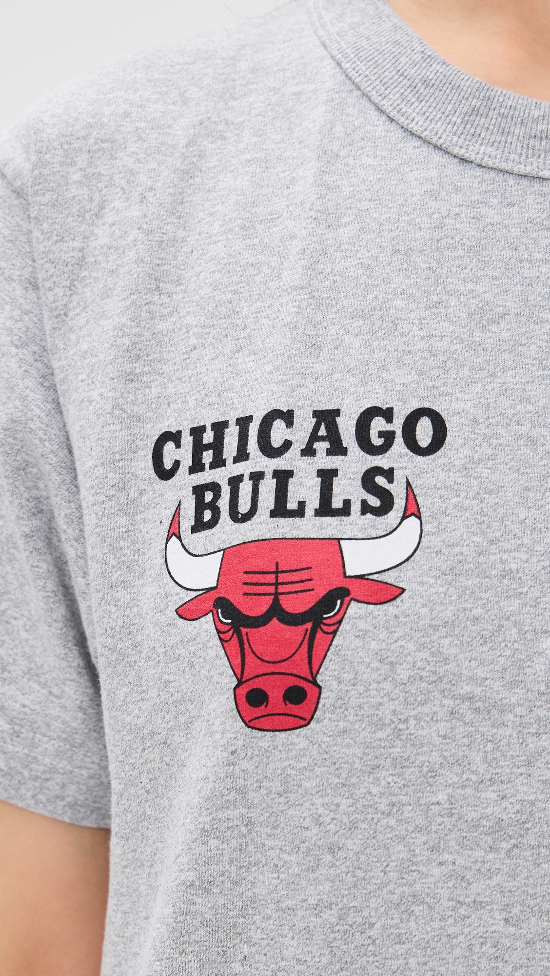 DANNIJOPRO Chicago Bulls Team Tee Grey