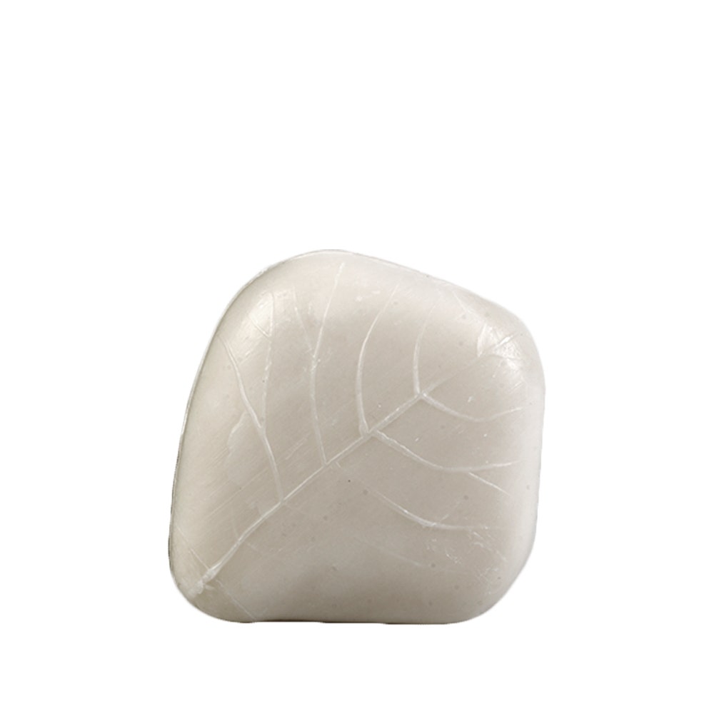 Forets Sapone