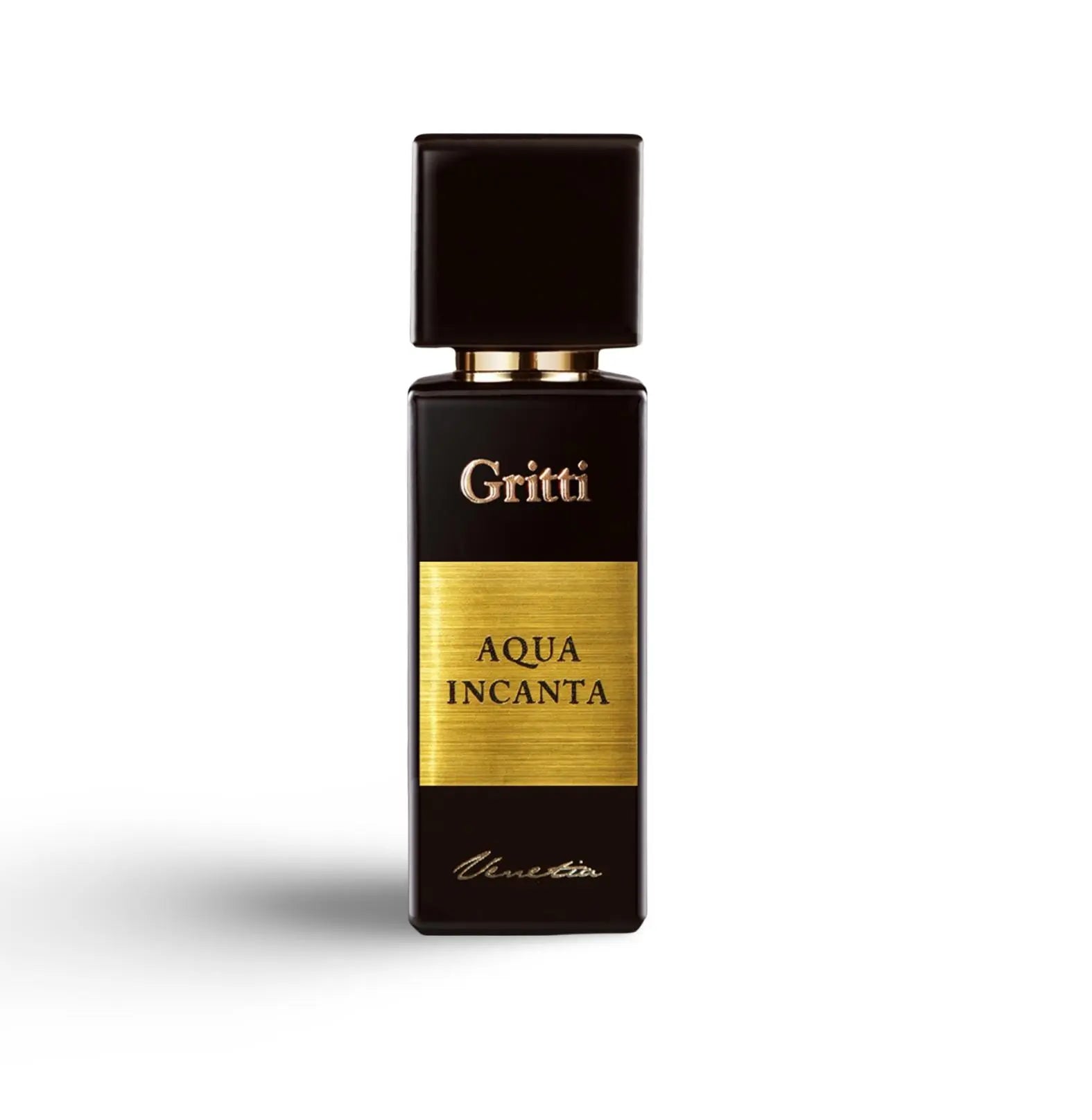 Gritti Aqua Incanta 100 ml Men's Eau de Parfu