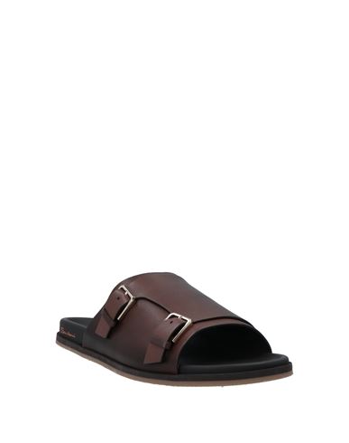 Man Sandals Cocoa