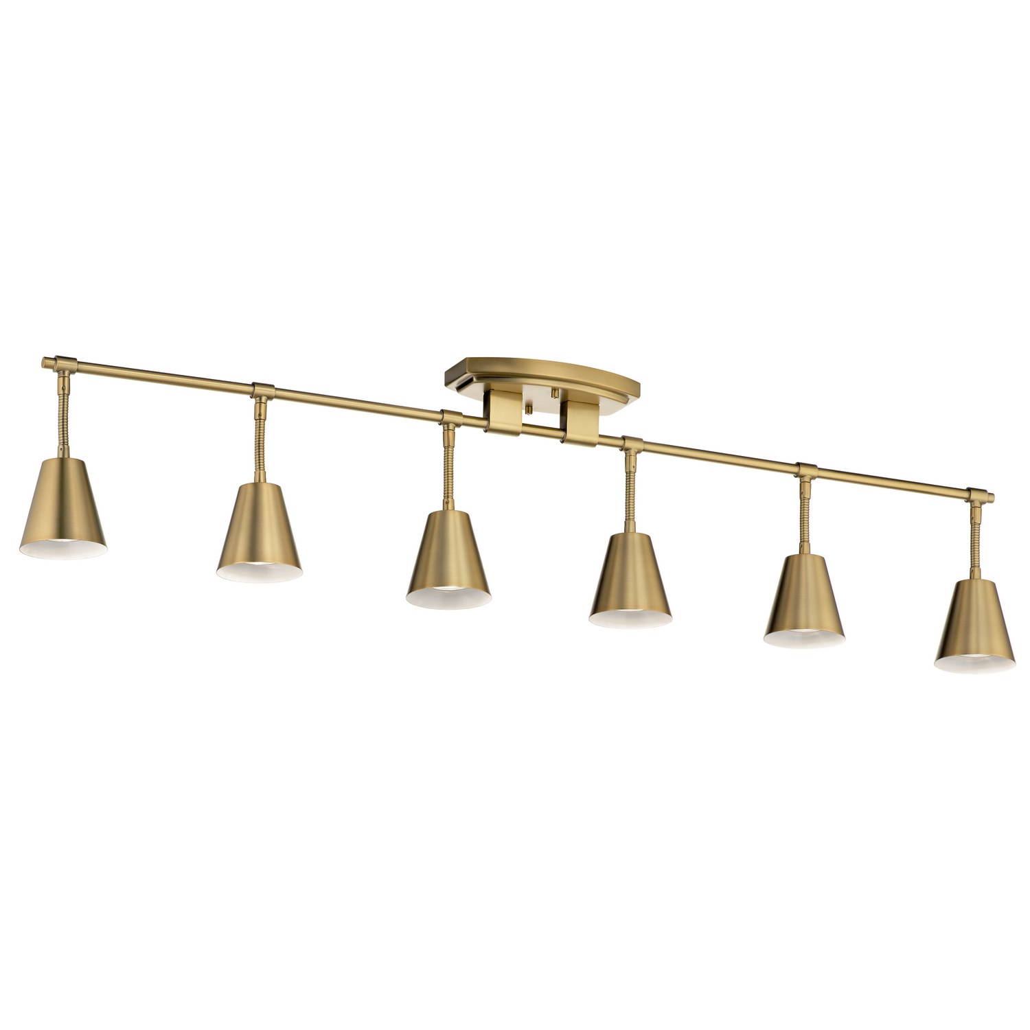 Sylvia 6-Light Rail Light in Brushed Natural Bra