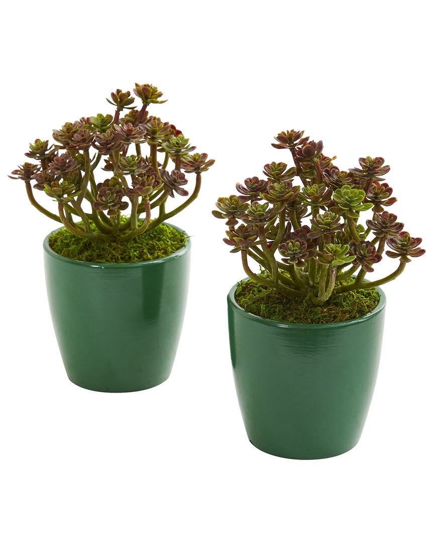Set of 2 Sedum Artificial Plants in Green Planter