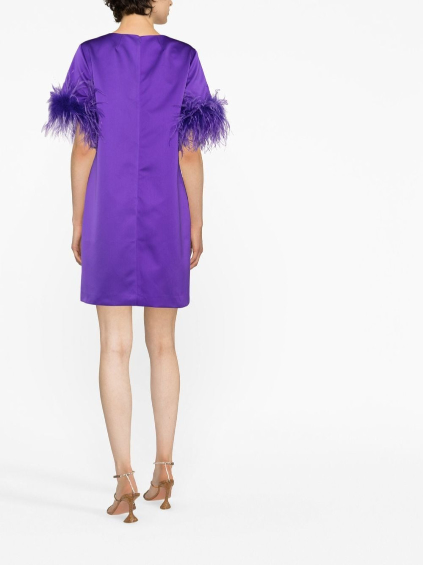 - Feathered Mini Dress