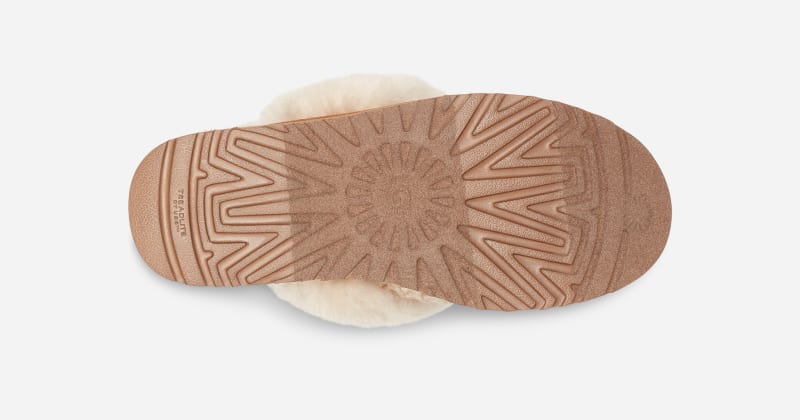 ® Women's Cozy Slipper Sheepskin Slippers in Grey/