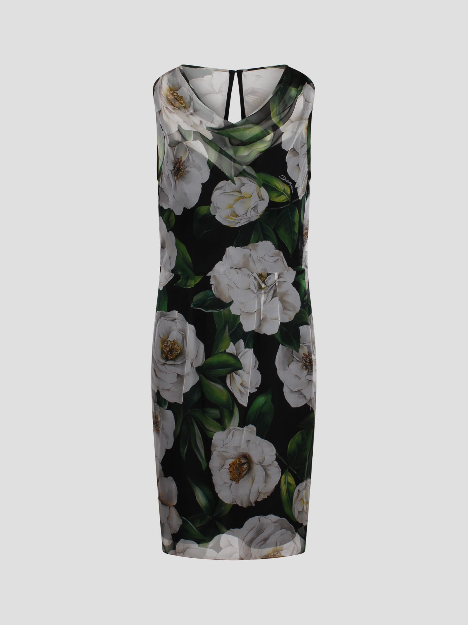 Floral Print Dress