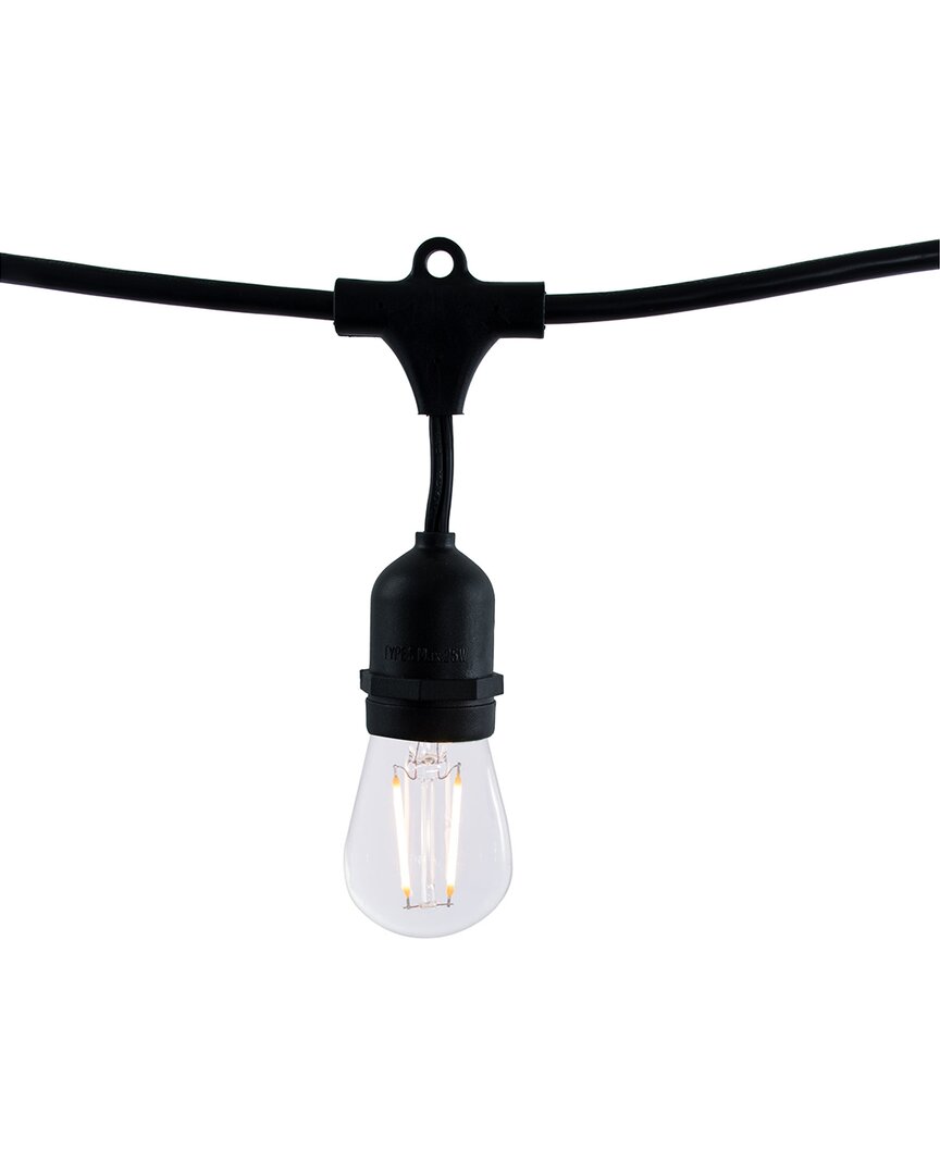 14' 10-Bulb Indoor/Outdoor LED String Lights